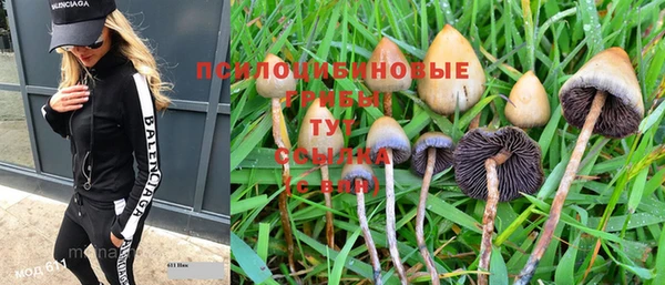 ПСИЛОЦИБИНОВЫЕ ГРИБЫ Нязепетровск