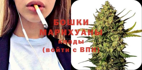 индика Новокубанск