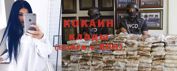 сатива Дмитровск