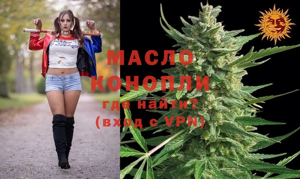 индика Новокубанск