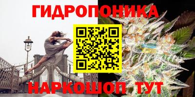 СК Волгодонск